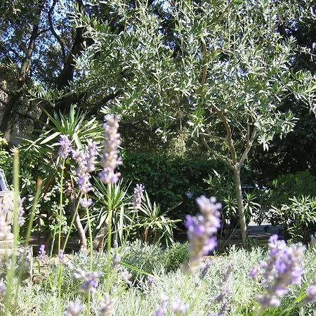 Le Petit Manoir Provence Les Angles (Gard)