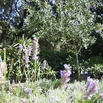 Le Petit Manoir Provence Les Angles (Gard)